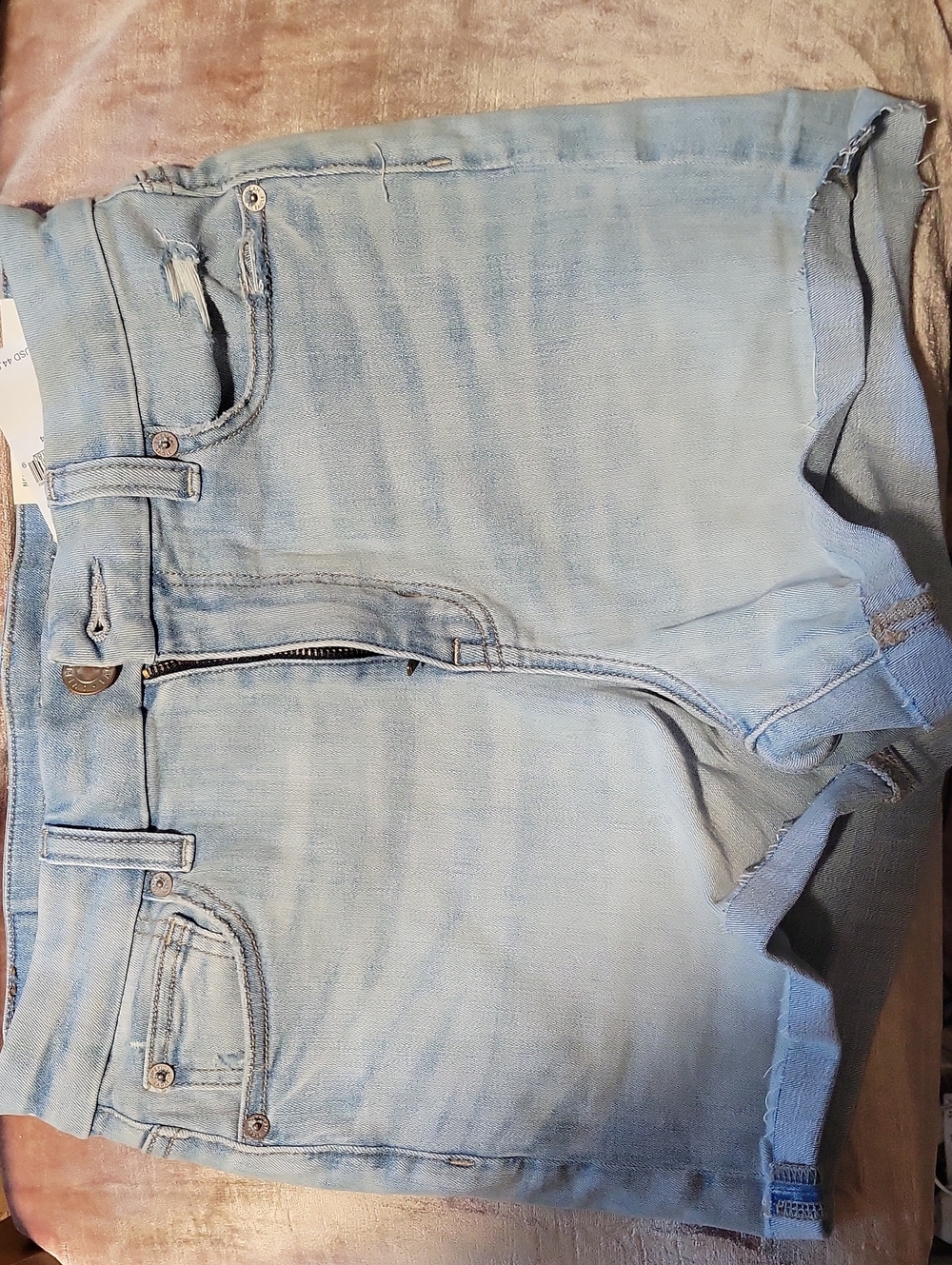 American Eagle Outfitters Light Blue Denim Jean Shorts